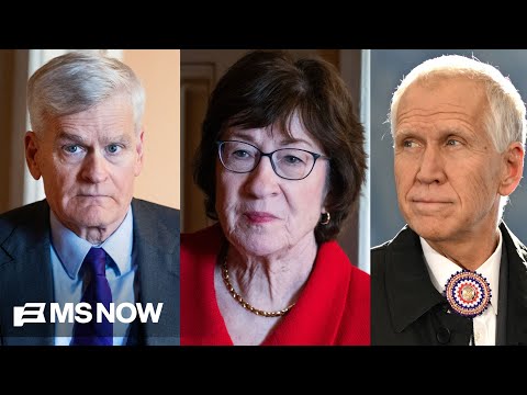 Republicans calling for investigation into shooting of Alex Pretti