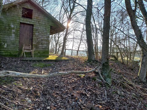 Wanderung rund um Wiesenbach