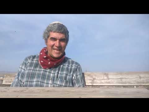 Shabbat Shalom from Kfar Tapuach