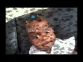 GALINHA PINTADINHA Wmv