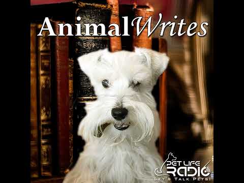 Animal Writes - Episode 76 A Wolf Called Romeo