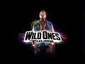 Flo Rida Whistle High Pitched