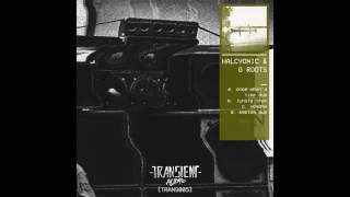 Halcyonic & G Roots - Voyage (TRANS005)