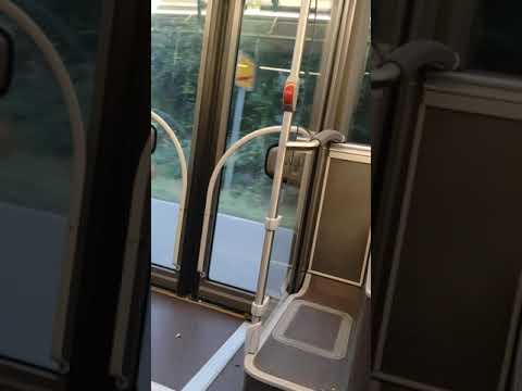 MAN Lions City Efficient Hybrid, neuer Vorstellbus | #Linie 421