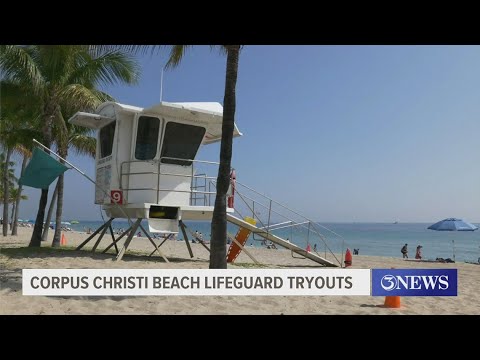 Neyland Public Library to close for a week starting Monday | kiiitv.com