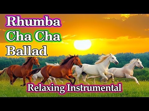 Relaxing Music Beautifies the Soul & Reduces Stress, New Rhumba Cha Cha Instrumental Relaxing Music