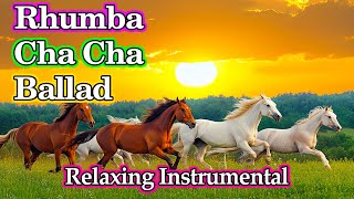 Download lagu Relaxing Music Beautifies the Soul & Reduces Stress, New Rhumba Cha Cha Instrumental Relaxing Music mp3