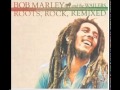 sun is shining (DJ Dolores Mix) - Bob Marley