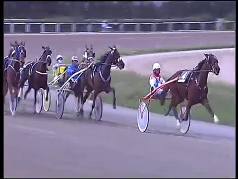 Trotto 21/02/2016 - 1° corsa