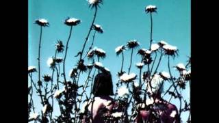 the creatures - pluto drive