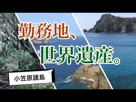 生物生産学科 【環境保護】小笠原ではたらく友人に話を聞いてみた！