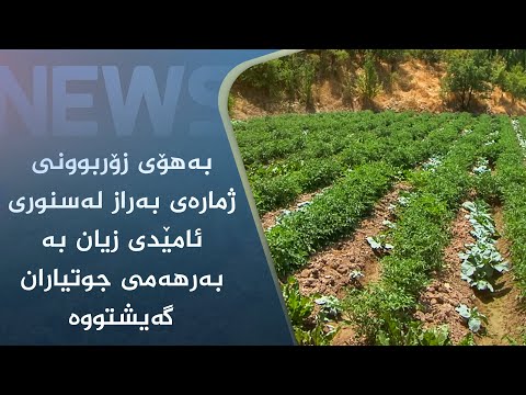 بەڤیدیۆ.. بەھۆی زۆربوونی ژمارەی بەراز لەسنوری ئامێدی زیان بە بەرھەمی جوتیاران گەیشتووە