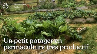 Permaculture au potager : 115 kg de légumes sur 50 m2 dans un jardin f