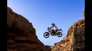VOGE 800 Rally