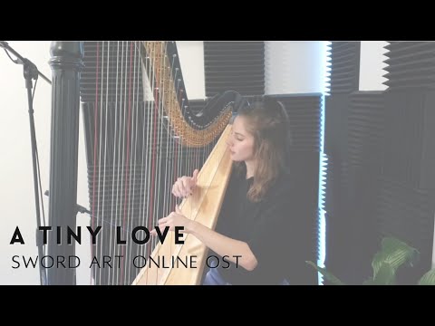 A Tiny Love {from Sword Art Online OST} - Yuki Kajiura harp cover // Bridget Jackson Harp