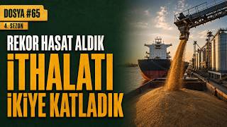 Türkiye Neden Rekor Rekoltede Bile Buğday İthal Ediyor?