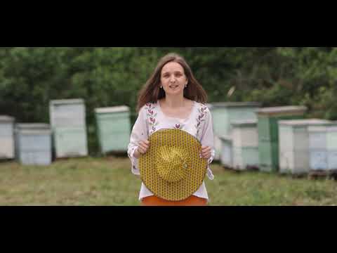 Regina Naturii I Mere de la apicultorul local