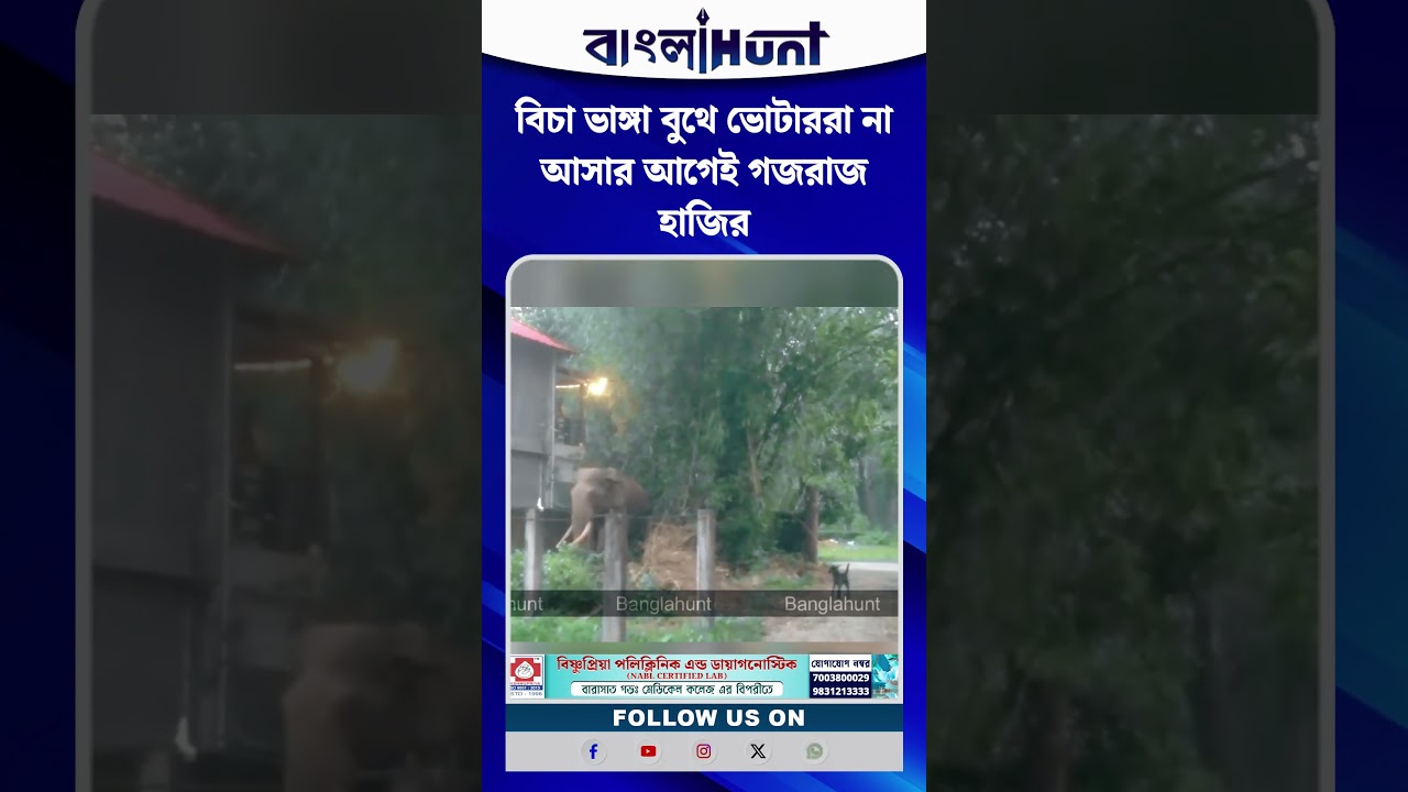 বিচা ভাঙ্গা বুথে ভোটাররা না আসার আগেই গজরাজ হাজির
