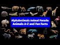 The Alphabetimals Animal Parade A To Z Animal Alphabet Fun Facts For Kids ABC Animal Facts