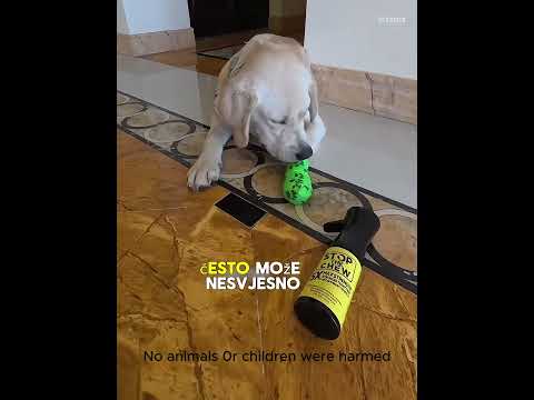 Zašto Ovi Ljudi Ne Mogu Lizati Ovaj Zavoj#animation