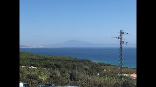 El bosque de Paloma Baja a Bolonia ( Playa los Baños de Claudia)