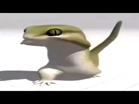 ЯЩЕРКА ФЛЕКСИТ женщина я НЕ танцую