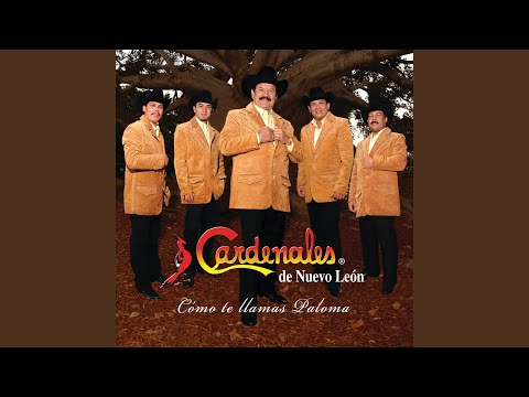 Toma Mi Corazon - Grupo Los Candams