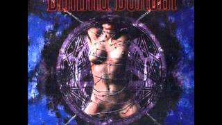 Dimmu Borgir - Hybrid Stigmata - The Apostasy aT