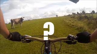 MTB Parsley..... HEY, YNOT?