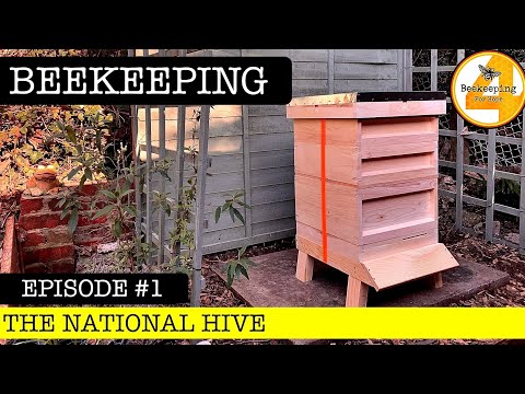 Becoming a Beekeeper: Looking inside the BS National Hive!