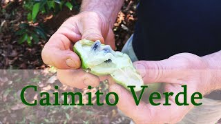 Miniatura do vídeo
