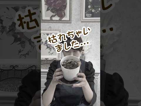 果樹を遅霜から守るにはどうすればよいですか？魔法のヒントとコツ！  庭園