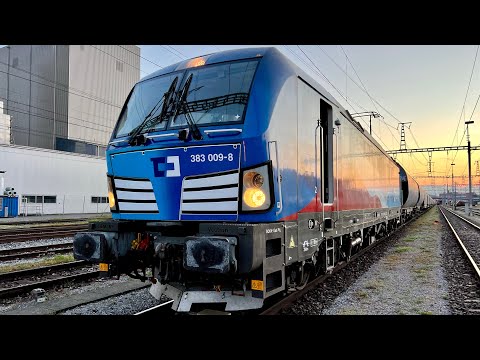 🔥SPECIAL🔥: Im Führerstand einer Vectron der 🇨🇿ČD Cargo von 🇦🇹Bregenz nach 🇨🇭St. Margrethen