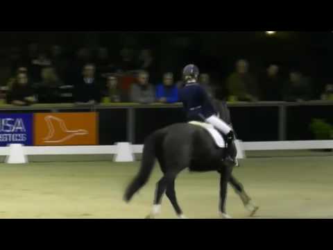 Glock's Toto Jr Totilas x Desperados  & Marieke van der Putten 2e Klasse M met 92 punten