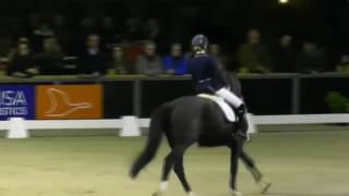 Glock's Toto junior étalon le plus populaire des Pays-Bas