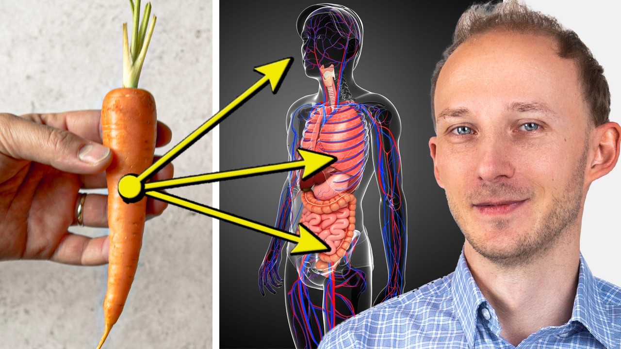 Oto co 1 marchewka dziennie robi dla Twojego zdrowia