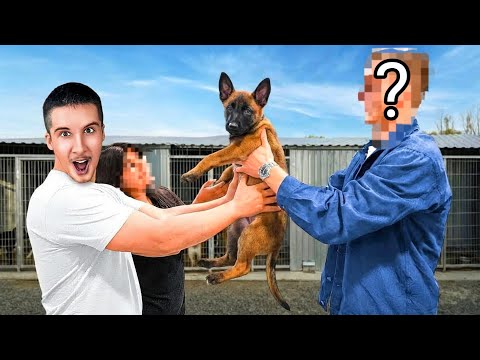 POKLANJAM VAM ŠEKIJA, Posljednji dan sa PSOM!