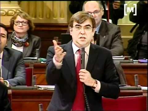 Primer dia al Parlament de Bauzá