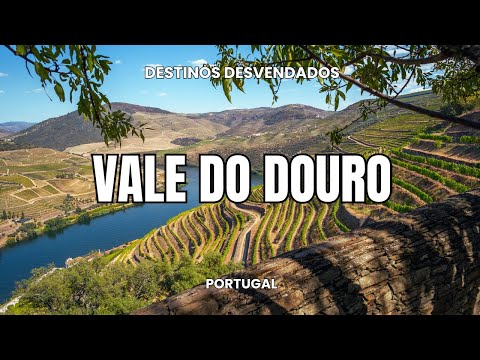 Vale do Douro O Paraíso Escondido de Portugal que o Mundo Precisa Conhecer!