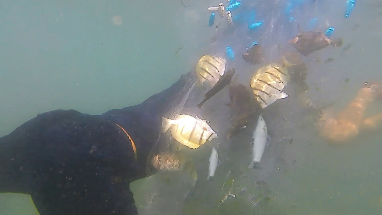 Trải Nghiệm Thả Lưới cùng mấy anh dân biển chuyên nghiệp || Mẻ lưới đầy cá!!