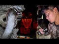 PINASOK NI COBRA PRINCE ANG MGA KILABOT NA COBRA SA LOOB NG BAHAY