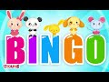 Bingo