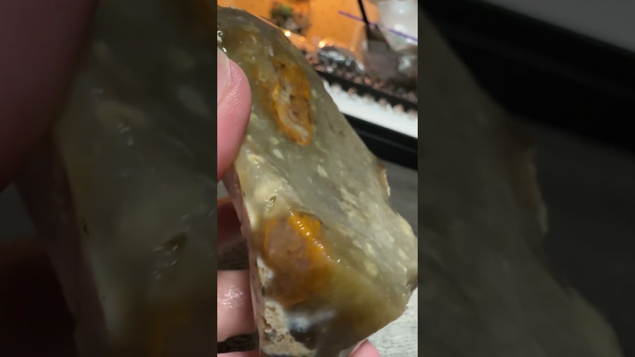 Savannah River Agate #6