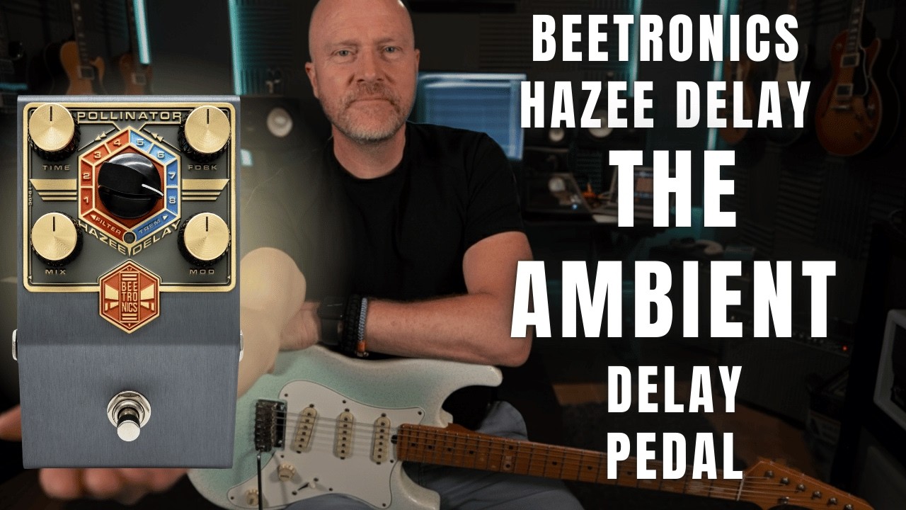 Beetronics Pollinator Hazee Delay &mdash; Delay Inspiration Machine - YouTube