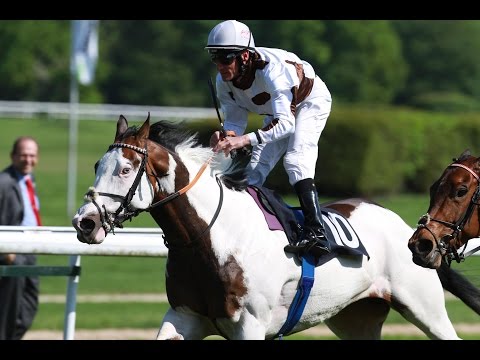 Weltsensation durch Silvery Moon – Schecke schreibt Geschichte