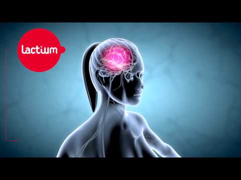 Discover Lactium, a natural milk bioactive for anxiety management