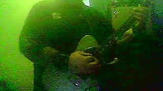 From Zero - &quot;Check Ya&quot; (guitar cover potato cam goodness, good audio kinda)