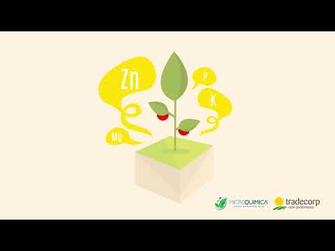 Delfan Plus e o cuidado com as plantas