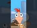 When You Don T Comply With Phineas Inventions Shorts Phineasandferb