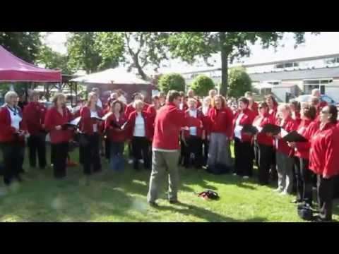 Cantus Bratislava at Markedsdage I Tarm Denmark 10.07.2013